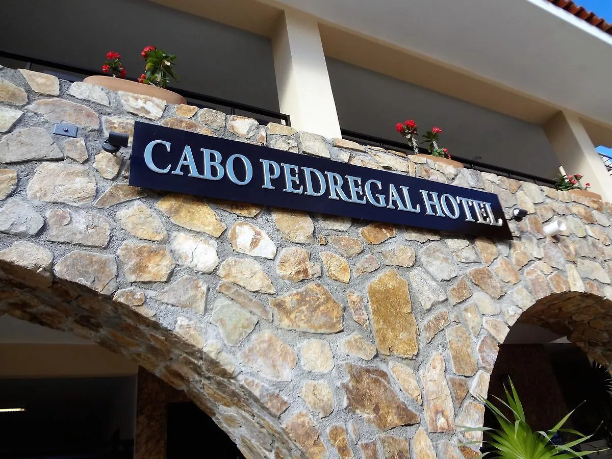 Safest Hotel In All Of Cabo Cabo San Lucas